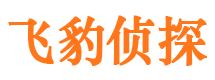 顺河外遇出轨调查取证